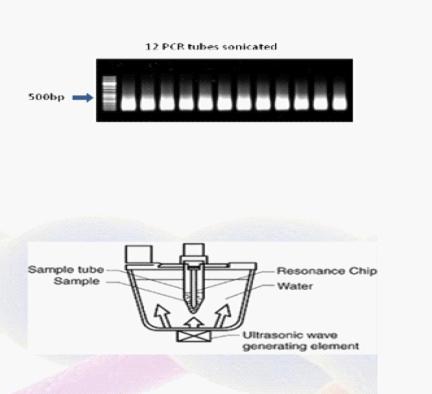 非接觸式超聲裂解系統工作原理